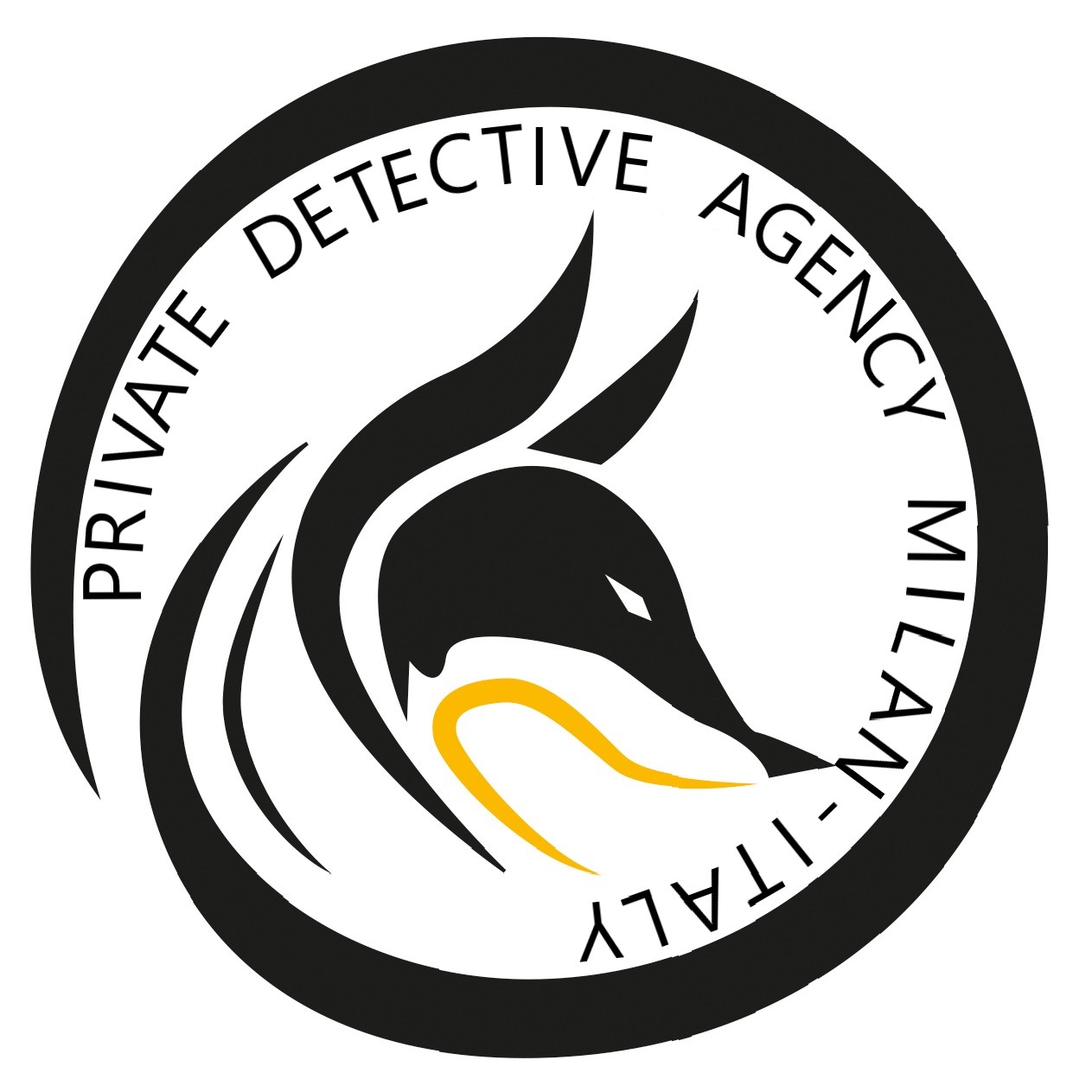 ATTREZZI DELL MESTIERE DEL DETECTIVE PRIVATO
